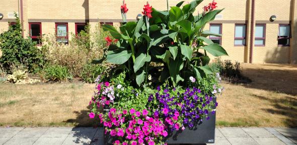 GH Flowers